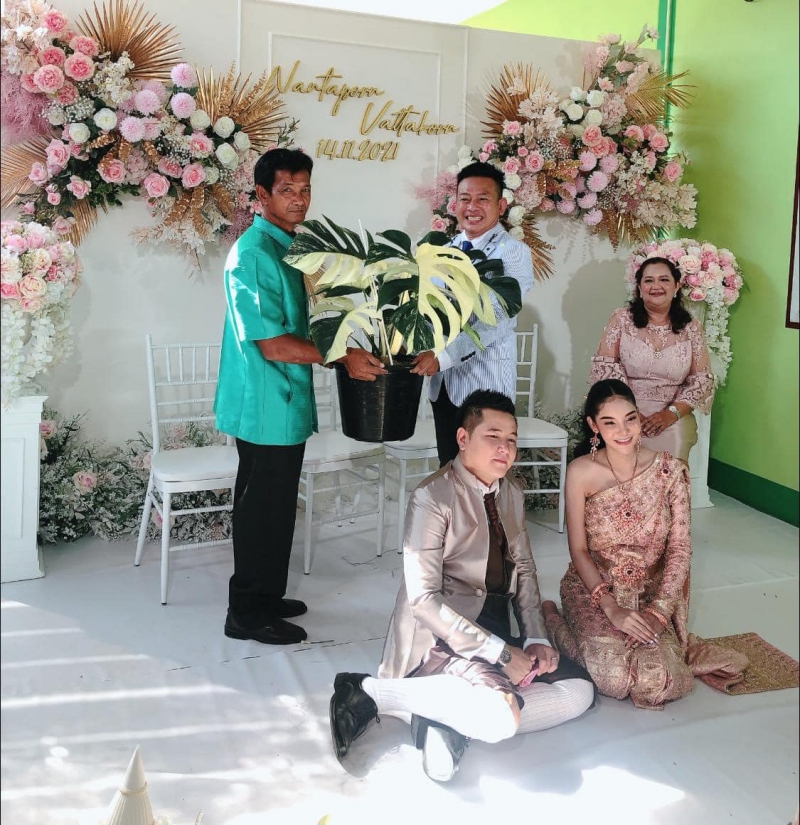My Image 21