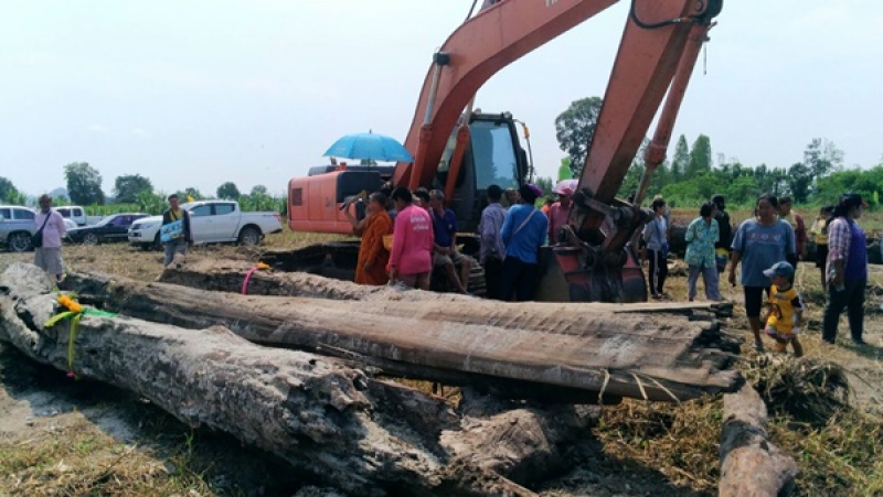 ขนลุก หนุ่มใหญ่ ฝันเห็นตะเคียนยักษ์ - https://tookhuay.com/