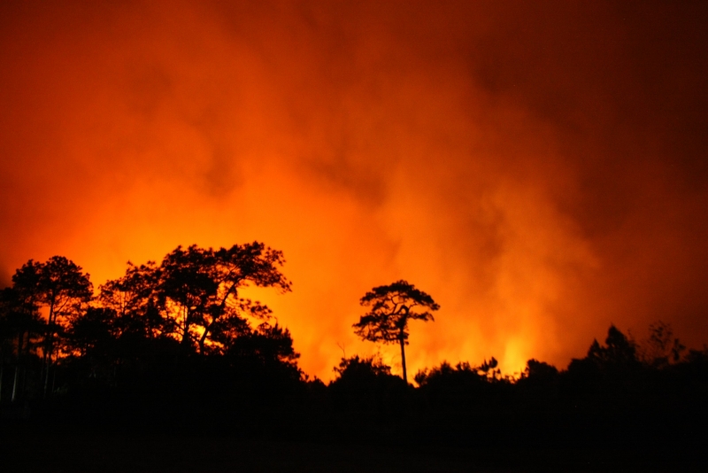 อัพเดทล่าสุด ไฟไหม้ภูกระดึง 20 ชั่วโมง วอด 3400 ไร่ หนักสุดรอบ 20 ปี